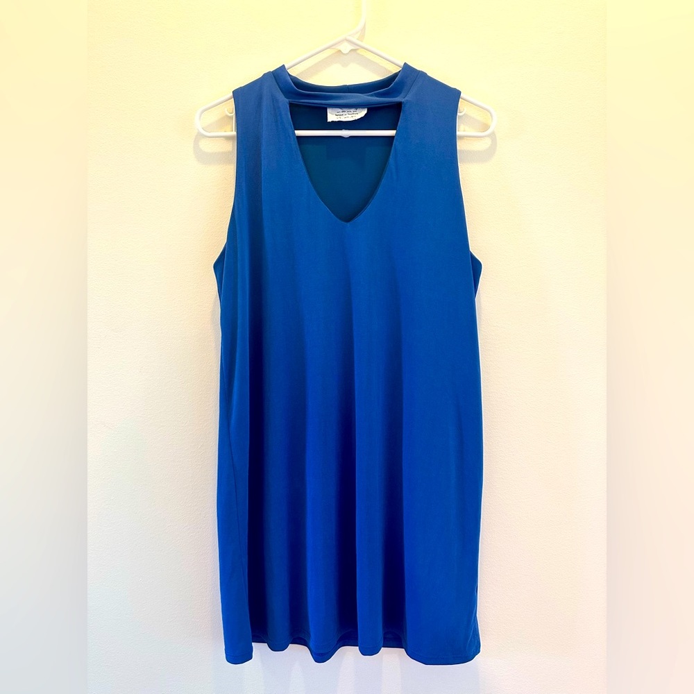 Sadie & Sage Cobalt Blue Mini Dress